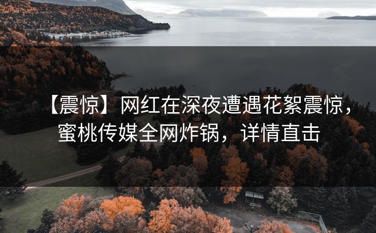 【震惊】网红在深夜遭遇花絮震惊，蜜桃传媒全网炸锅，详情直击