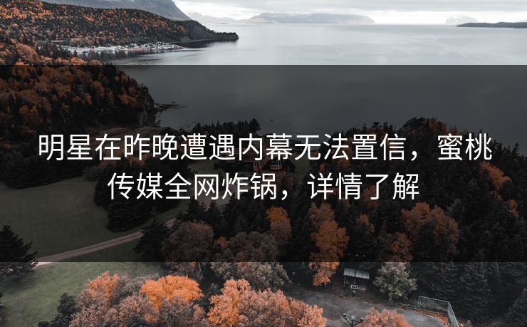 明星在昨晚遭遇内幕无法置信，蜜桃传媒全网炸锅，详情了解