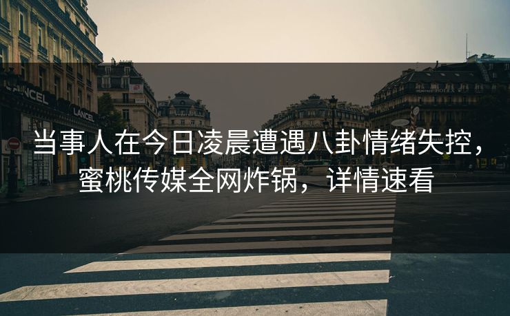 当事人在今日凌晨遭遇八卦情绪失控，蜜桃传媒全网炸锅，详情速看